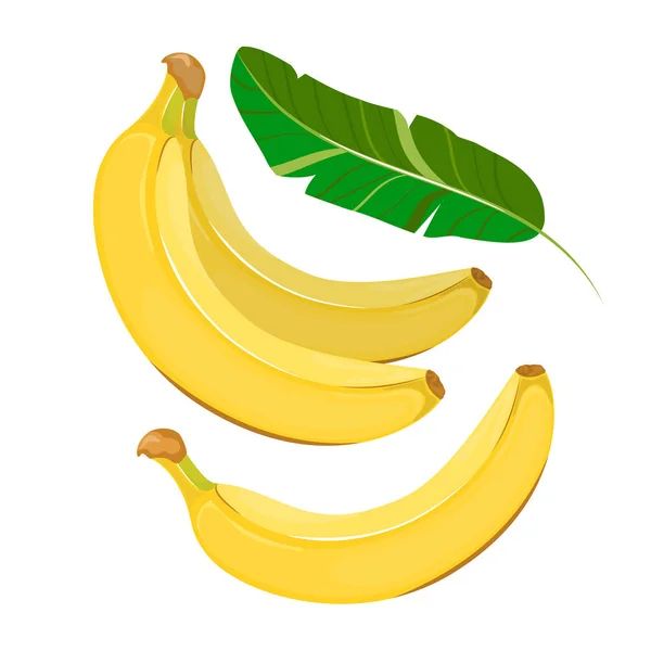 全体のバナナ、半分のバナナ、スライス、白い背景で隔離の葉. — ストックベクタ