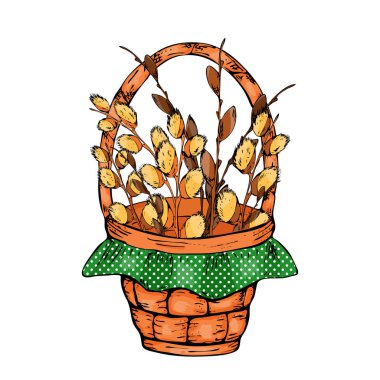 Beyaz arka plan üzerinde vektör çizim bahar söğüt dalları. Bahar willow buket sarı yay ile.