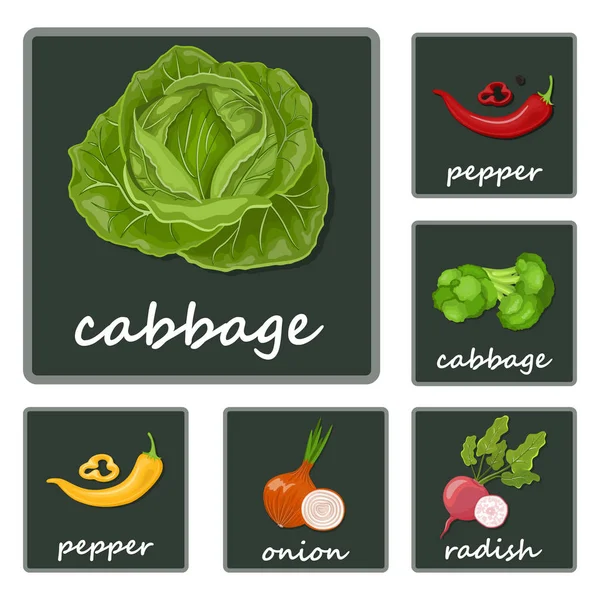 Légumes icônes plat ensemble avec radis citrouille pomme de terre céleri isolé vecteur illustration — Image vectorielle
