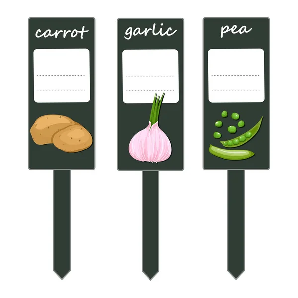Etiqueta ecológica con verduras verdes . — Vector de stock