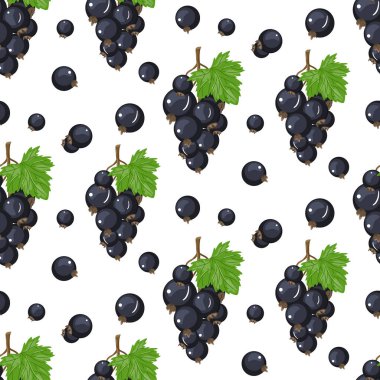 Vektör Siyah frenk üzümü seamless modeli. Çay, dondurma, doğal kozmetik için arka plan tasarımı,