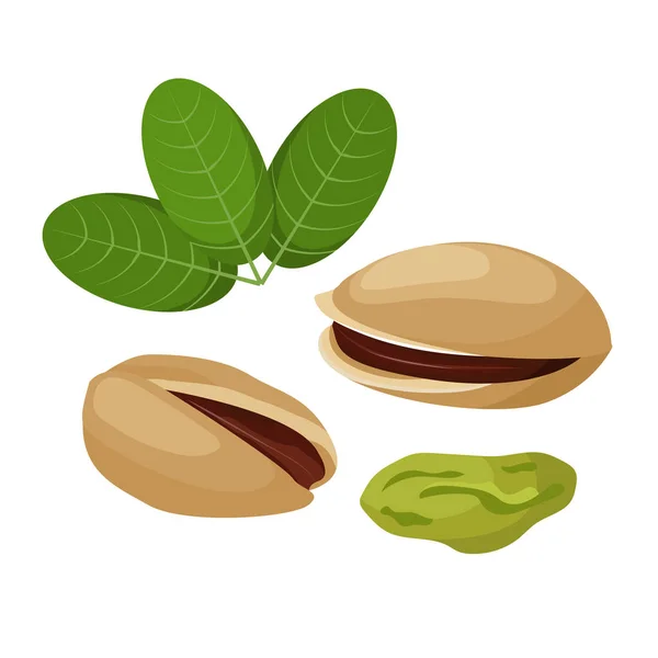 Vector pistachio in cartoon style for template label, packaging snackand emblem farmer market design. — Stock Vector