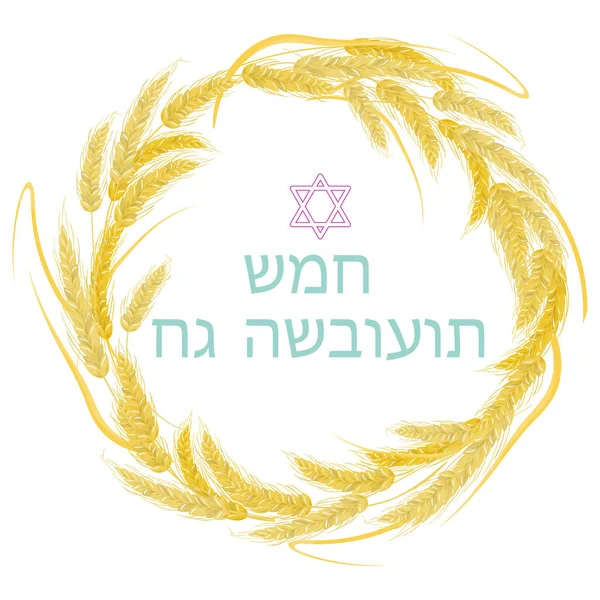 Jødisk ferie af Shavuot, hvedeører ramme, ost hilsen inskription - Happy Shavuot – Stock-vektor