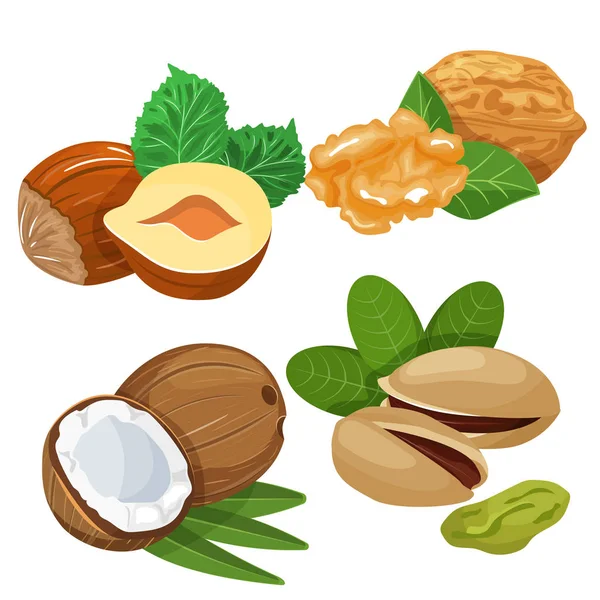 Eine Reihe verschiedener Nüsse werden im Cartoon-Stil gezeichnet. — Stockvektor