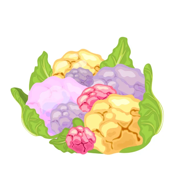 Chou-fleur isolé sur fond blanc. icône alimentaire . — Image vectorielle