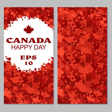 Kanada bayrağı için havai fişek ile Kanada ulusal günü kutlamak