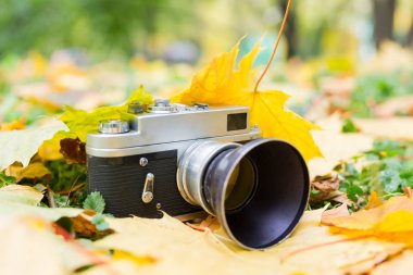 Güzel bokeh ile eski fotoğraf makinesi üzerinde sarı sonbahar yaprakları