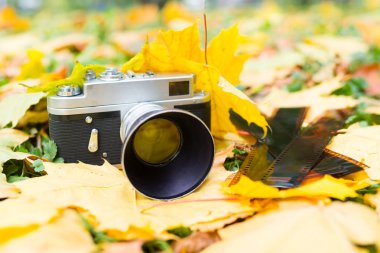 Eski negatifleri ile eski fotoğraf makinesi üzerinde sarı sonbahar yaprakları