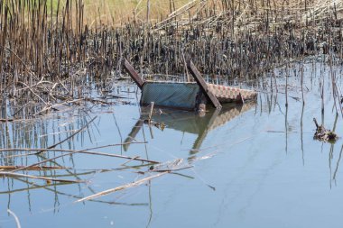 Bataklıkta eski sandalye