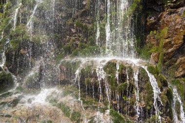 Taş yosun ile güzel bir şelale