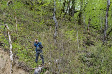 Yoğun orman fotoğrafçı