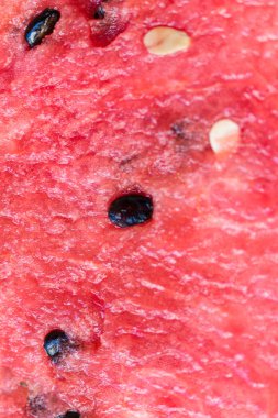 Bir karpuz tohumu closeup ile eti