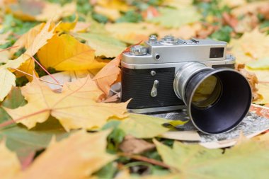 Eski fotoğraf makinesi ve eski fotoğrafları üzerinde sonbahar yaprakları kadar yakın