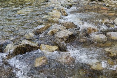 Kayalık sert nehir taşları ile