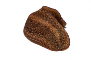 Beyaz arka plan üzerinde izole slug (arazi slug).