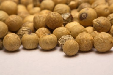 Bir arka plan beyaz biber yakın çekim.