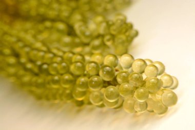 Deniz üzüm ya da yeşil cavier deniz yosunu sağlıklı deniz ürünleri. Oval deniz gr