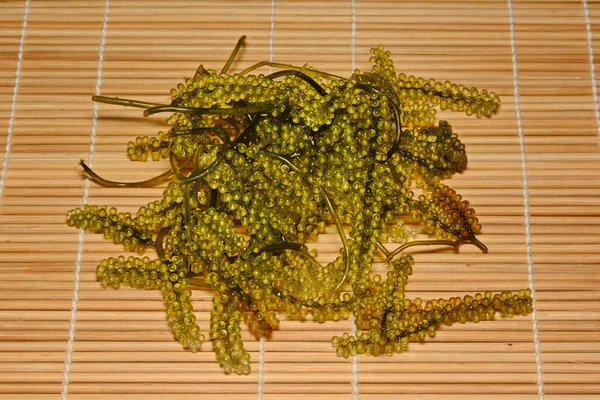 Deniz üzüm ya da yeşil cavier deniz yosunu sağlıklı deniz ürünleri. Oval deniz gr — Stok fotoğraf