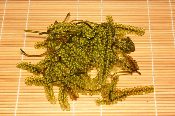 Deniz üzüm ya da yeşil cavier deniz yosunu sağlıklı deniz ürünleri. Oval deniz gr — Stok fotoğraf