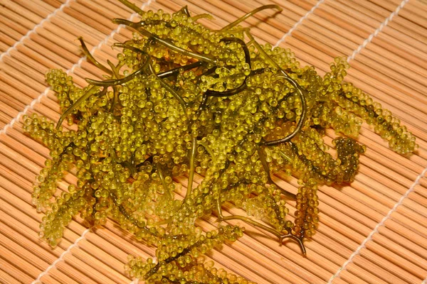 sea grapes or green cavier Seaweed Healthy sea food. Oval sea gr