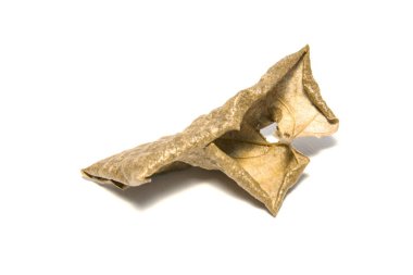 Beyaz arka plan üzerine kurutulmuş defne yaprağı. Beyaz sırtüzerinde yaprak ağacı