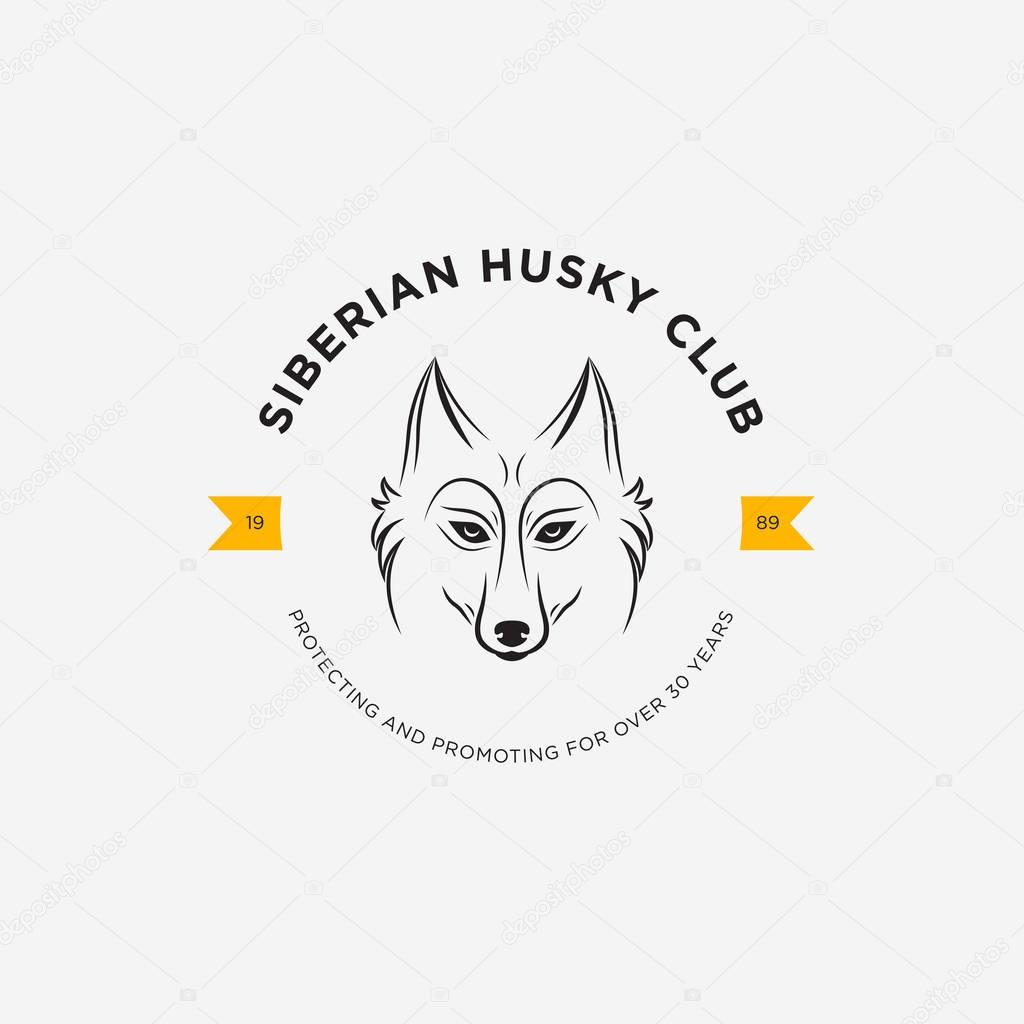 Vector image of a dog siberian husky design on white background and yellow background, Logo, Symbol, Animals. Siberian Husky Club