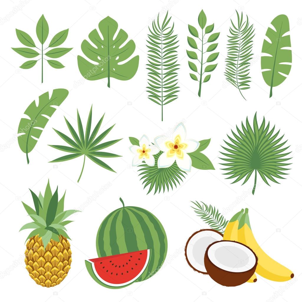 Set of cute tropical leaves and fruits, palm leaves and flowers. Pineapple, watermelon, bananas, coconut. Collection of scrapbooking elements for beach party. Objects for decoration, design on adverti