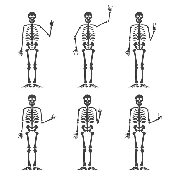Set de gestos de mano esqueleto: ok, dedo arriba, dedo abajo, puño, dedo medio, cuernos Rock n roll, palmadas y otros emojis. Esqueleto humano posando aislado sobre fondo blanco vector ilustración . — Archivo Imágenes Vectoriales