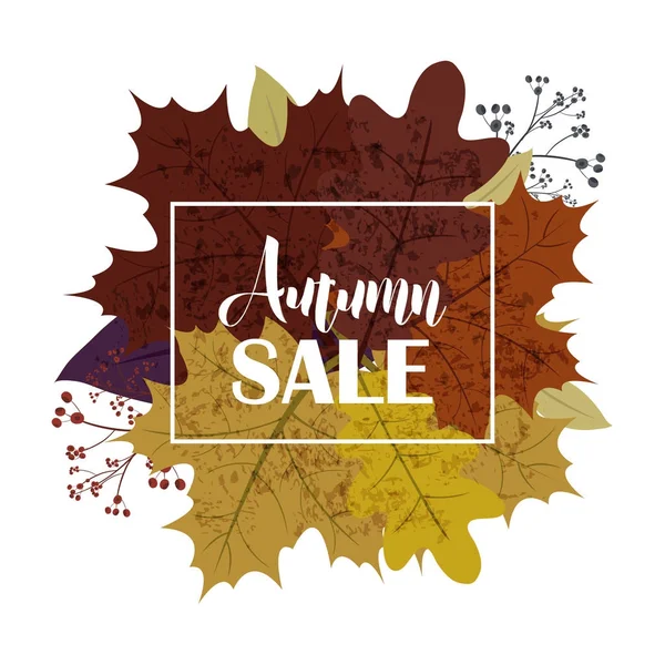 Hello Autumn Sale text poster of September leaf fall or outumnal foliage of maple, oak bolota and elm for shopping sale design or promo poster and frame leaflet or web banner . — Vetor de Stock