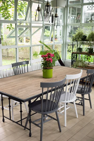 Comedor interior con mesa, sillas y plantas contra w grande — Foto de Stock