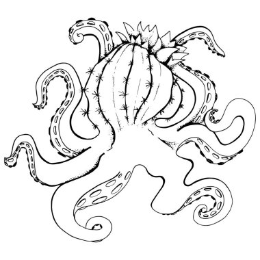 Ahtapot çiçeği kaktüs kafa, cactopus ile