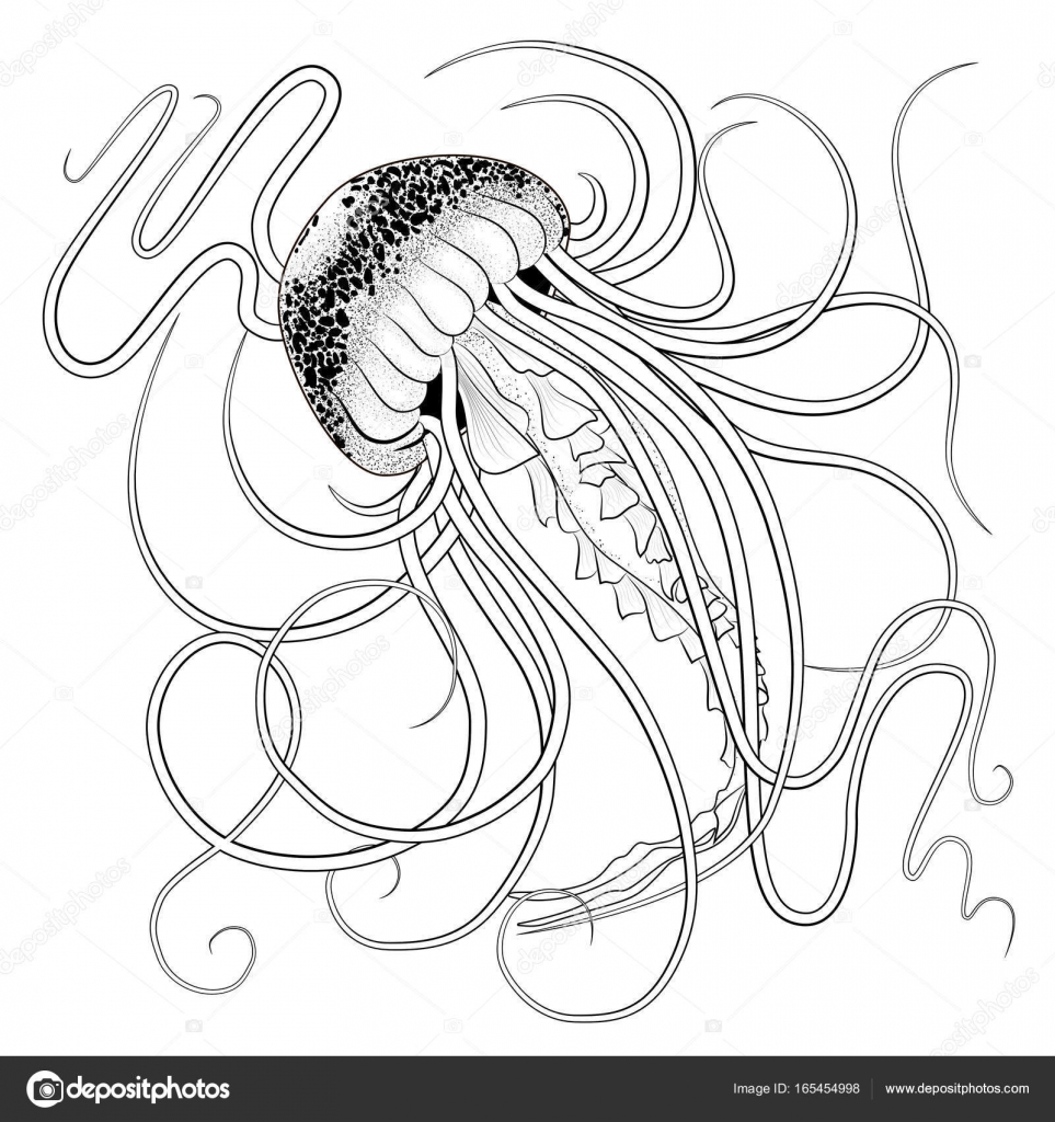 문신 스타일로 흑인과 백인 개요 해파리 stipples 스톡 벡터 - ©scorpionce 165454998, image size:963x1024