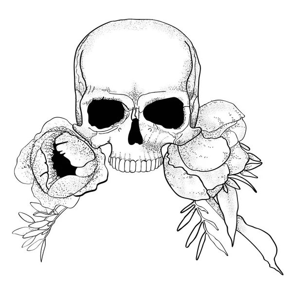 Crânio com flores de peônia vetor gráfico boho — Vetor de Stock