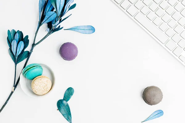 Üstten Görünüm düz renkli macarons klavye ve mavi yaprakları ile yatıyordu. Yaratıcı tatlı kavramı