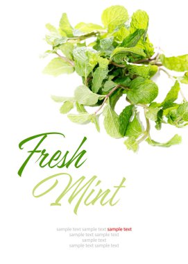Beyaz arka plan üzerinde izole yeşil nane taze ürün. Otlar, helthy içki madde. Detoks. Metin alanı