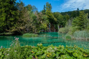 Hırvatistan Plitvice Gölleri