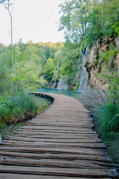 Κροατία λιμνών Plitvice — Φωτογραφία Αρχείου