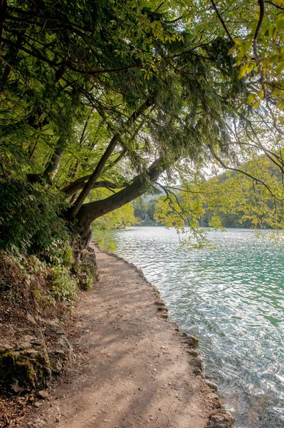 Хорватия Плитвицкие озера — стоковое фото