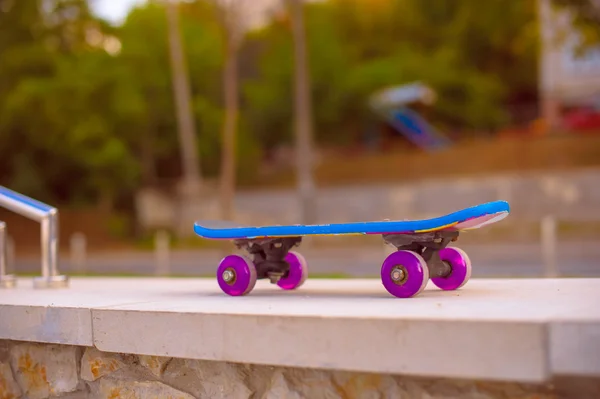 Bright skateboard in park — Stockfoto