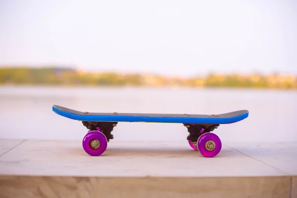 Bright skateboard in park — Stockfoto