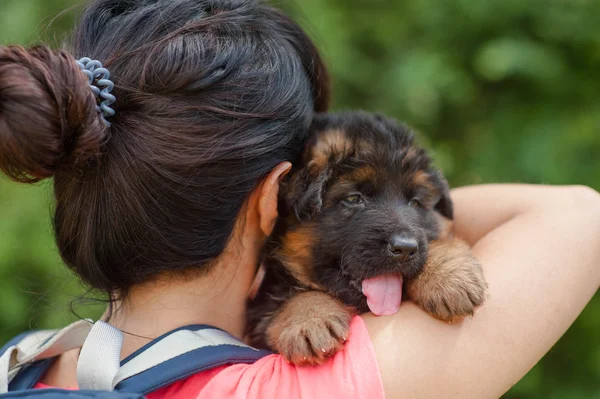 Meisje met puppy in park — Stockfoto