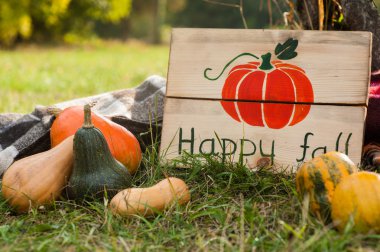 güzel sonbahar dekorasyonu