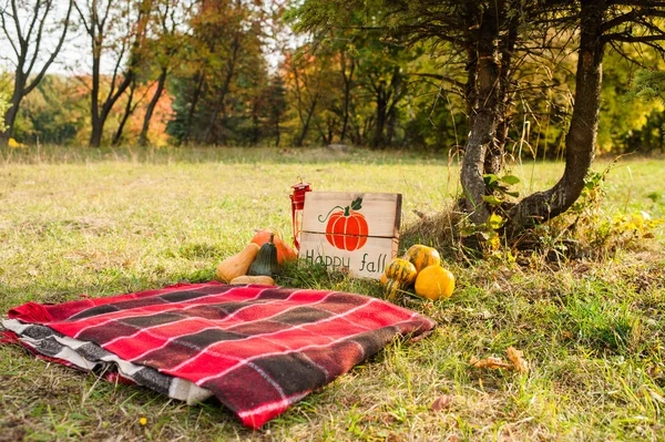 Pumpkins and rug in nature — Stock Photo, Image