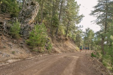 Büyüleyici manzarası ve Türkiye'nin manzaralar