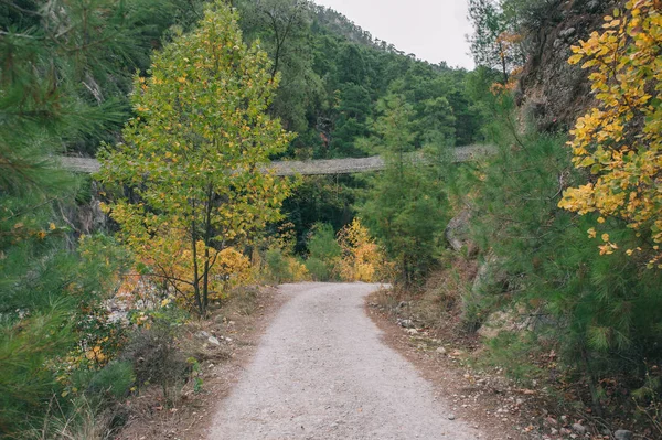 Κρεμαστή γέφυρα ανάμεσα Rock — Φωτογραφία Αρχείου