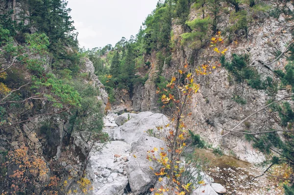 山の美しい渓谷 — ストック写真