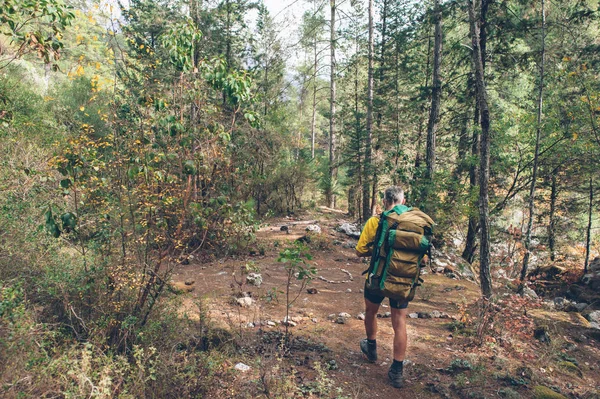 Самотній мандрівник у лісі — стокове фото
