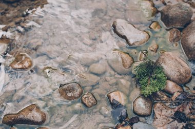 Harika bir manzara su