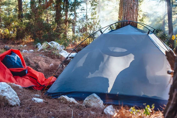 Пара в палатке в лесу — стоковое фото