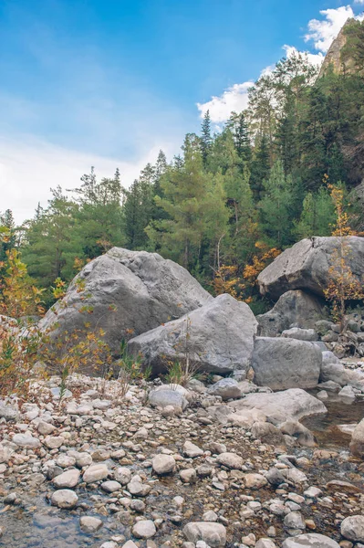 Un bosque visto memorable en Turquía — Foto de Stock